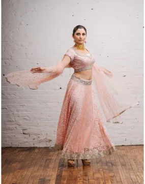 Buy Pink Embroidered Blouse with Brasso Lehenga | Clearance