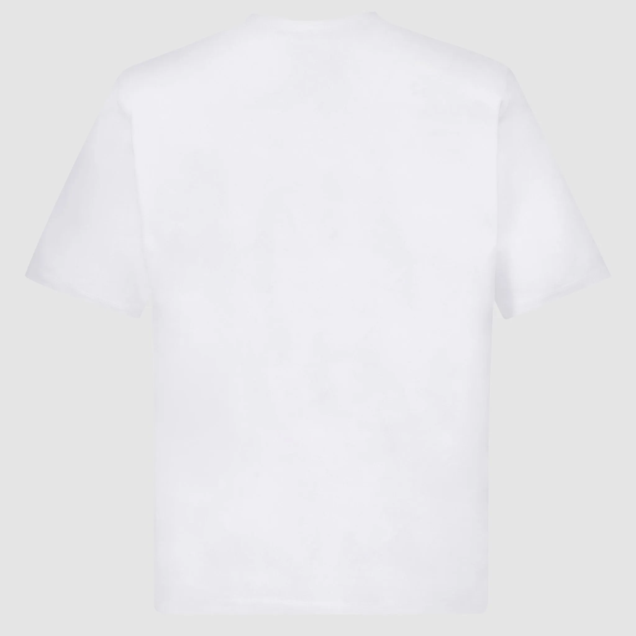 DRAGON ACTIVISM TEE (WHITE)