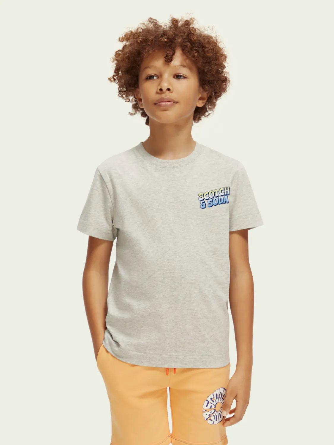 Scotch & Soda Boys T-Shirt_Grey 170558-0606