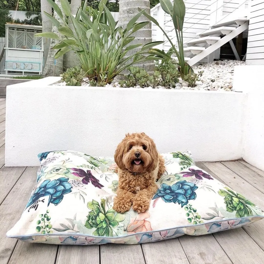 Succulent Medley – EXTRA LARGE Dog Bed