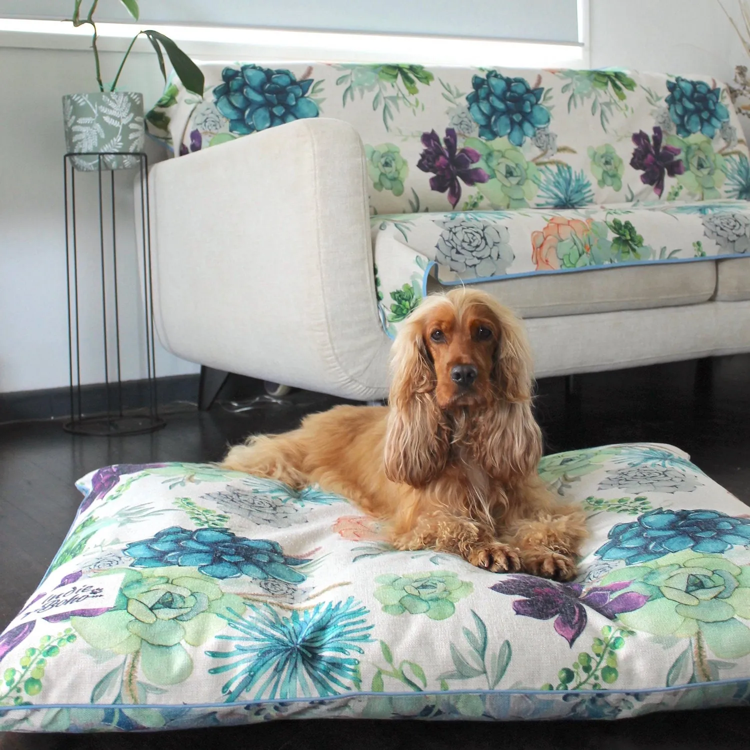 Succulent Medley – EXTRA LARGE Dog Bed